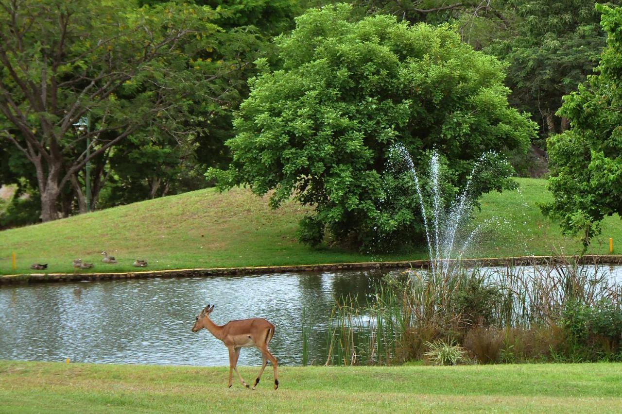 Kruger Park Lodge Unit No. 608B Hazyview Eksteriør bilde